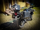 Triumph Tiger