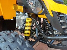 Can-Am DS