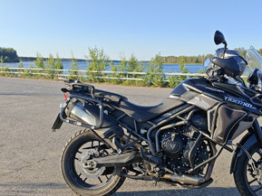 Triumph Tiger