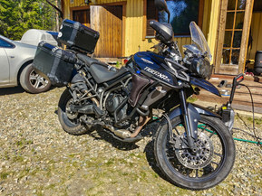 Triumph Tiger