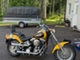 Harley-Davidson Softail