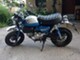 Honda Monkey