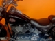 Harley-Davidson Softail