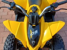Can-Am DS