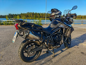 Triumph Tiger