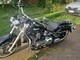 Harley-Davidson Softail
