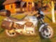 BMW K