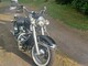 Harley-Davidson Softail