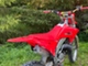 Honda CR