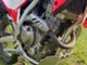 Honda CRF