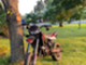 Husqvarna SM