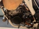 Husqvarna TE