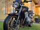 Suzuki GSF