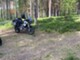 Triumph Tiger