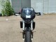 Ducati Monster