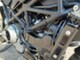 Ducati Monster