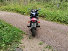 Suzuki GSX