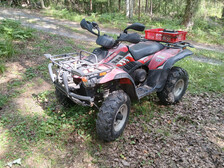 Linhai 300 2x4