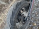 Husqvarna SM