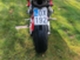 Honda CBR
