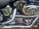Harley-Davidson Softail