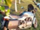 BMW K