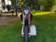 KTM 125