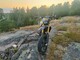 Rieju MRT