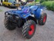 Polaris Magnum