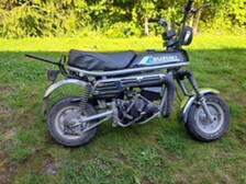 Suzuki PV