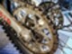 Sherco ST-R