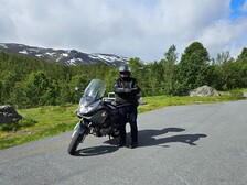 Honda NT