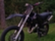 Aprilia SX