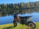 KTM 300