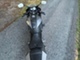 Yamaha YZF-R
