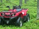 Yamaha Grizzly
