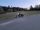 Honda Shadow