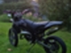 Aprilia SX
