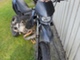 Derbi DRD