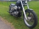 Harley-Davidson Sportster