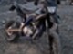 Yamaha WR