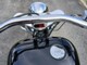 Harley-Davidson Softail