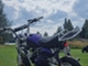 Conan St-50