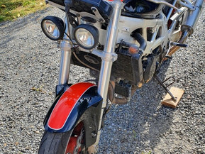 Suzuki TL