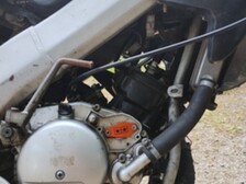Peugeot XPS