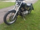 Harley-Davidson Sportster