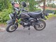 Conan St-50