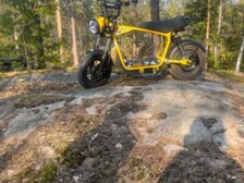 Skyteam MadNut e-Mini Electric