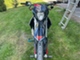 KTM 125