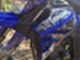 Yamaha XT